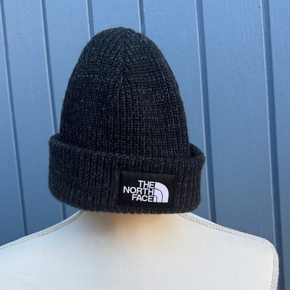 The North Face Other - The North Face Dark Knit Beanie